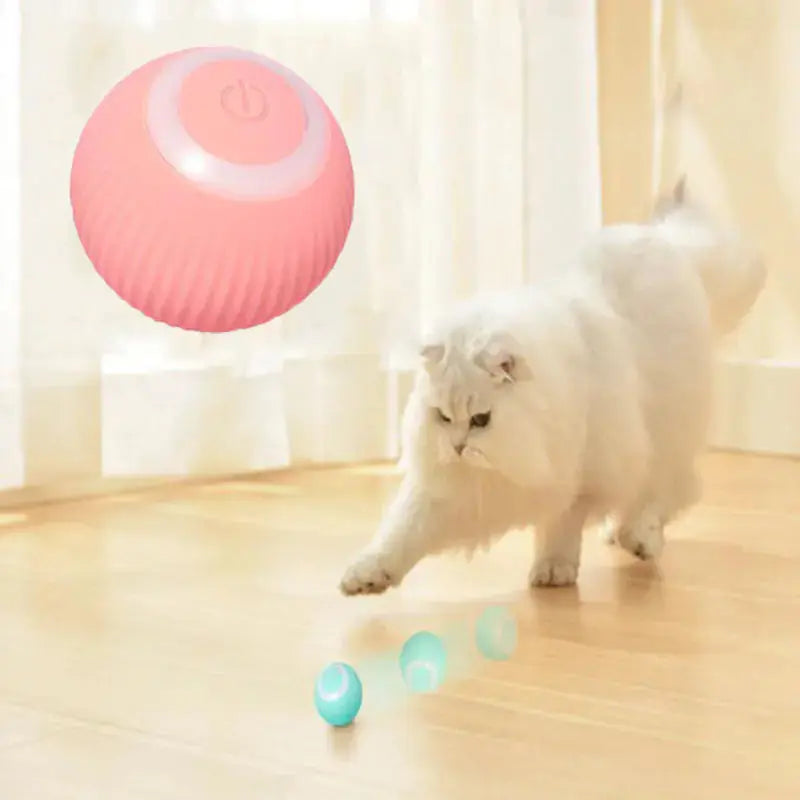 Automatic Rolling Ball for Intelligent Cat Play P'tit Poilu en Sac