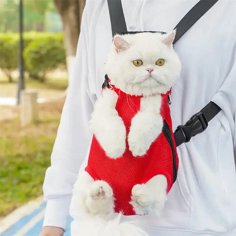 Sac à Dos Transporteur pour Animaux - P'tit Poilu en Sac