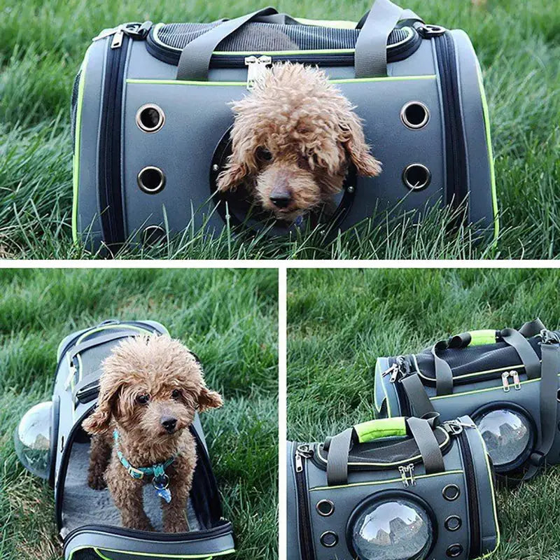 Sac de Transport Pliable pour Animaux P'tit Poilu en Sac