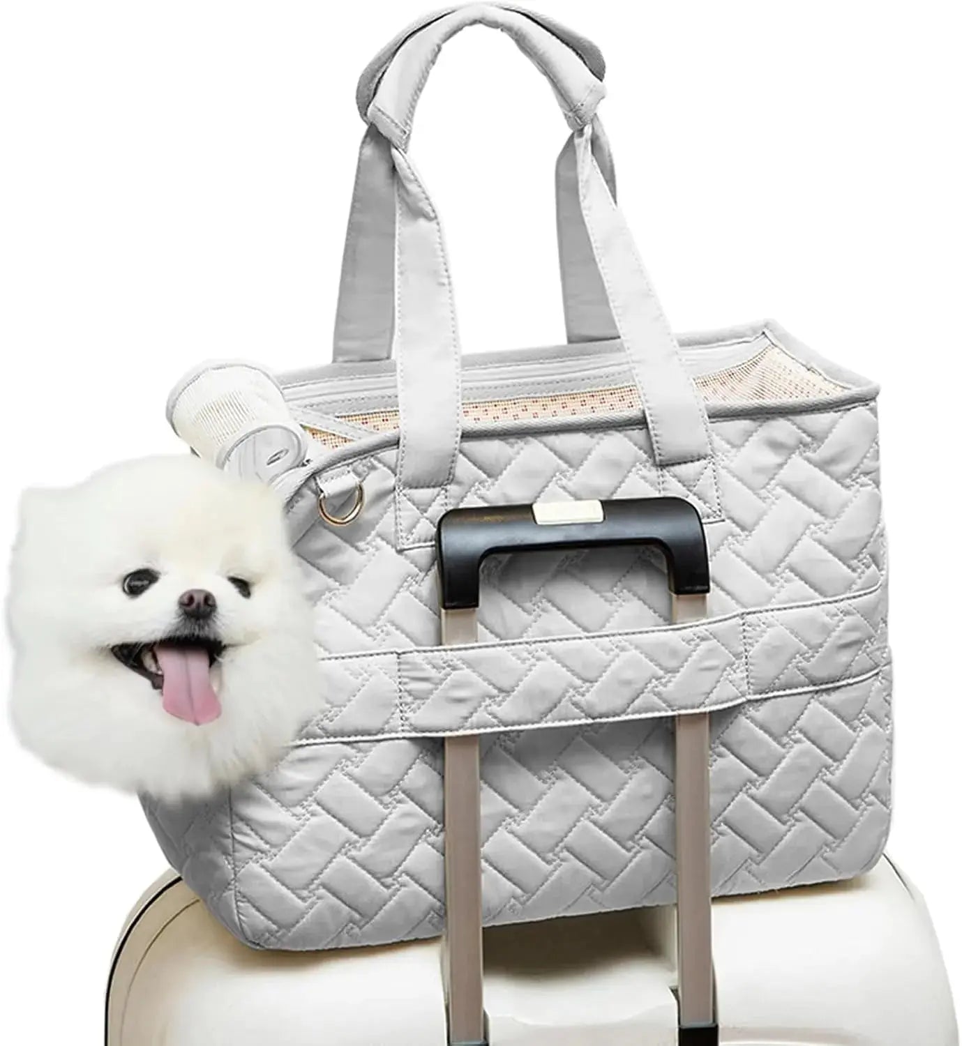 Sac de Transport pour Animaux P'tit Poilu en Sac