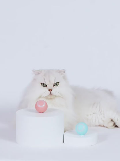 Balle Intelligente Interactive pour Chat