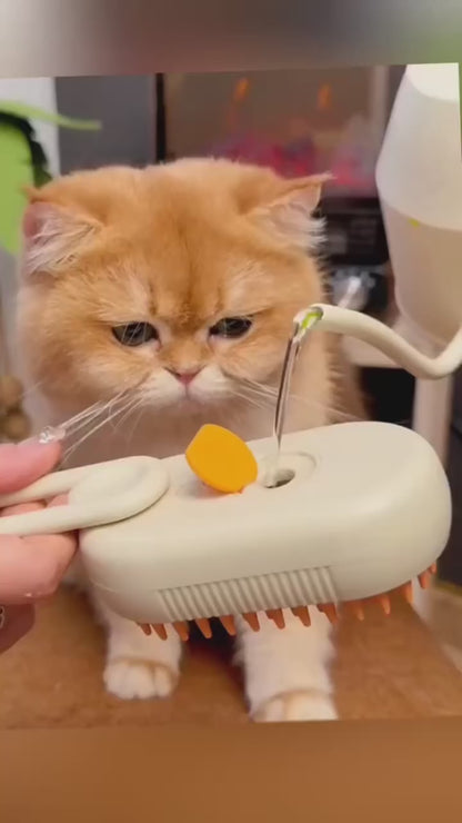 Brosse à vapeur 3-en-1 pour chat avec poignée pliable